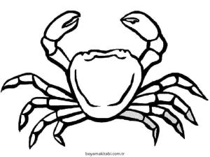 Yengeç boyama sayfası – keyifli zaman, renkli çizimler