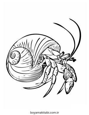 Yengeç boyama sayfası – çocuk aktivitesi, PDF indir