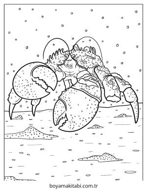 Yengeç boyama sayfası – boyama çalışması, yaratıcılığı geliştirir