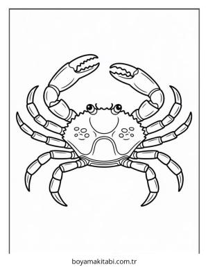 Yengeç boyama sayfası – yaratıcılık, eğlenceli etkinlik