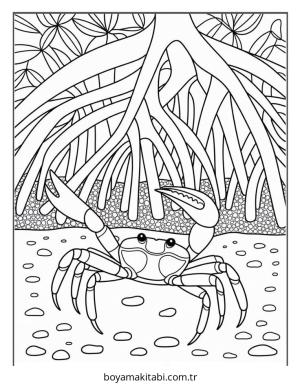 Yengeç boyama sayfası – renkli çizimler, okul öncesi