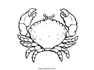 Yengeç boyama sayfası – kolay boyama, eğitici aktivite