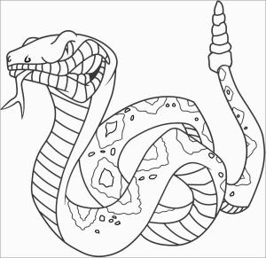 Yılan boyama sayfası,  coloring page, Büyük Yılan, 