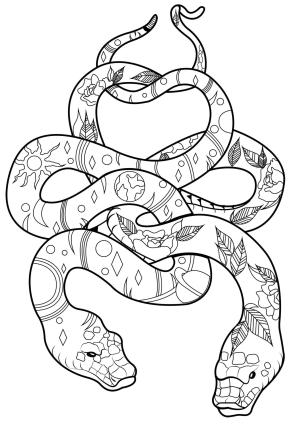 Yılan boyama sayfası,  coloring page, Iki Yılan, 