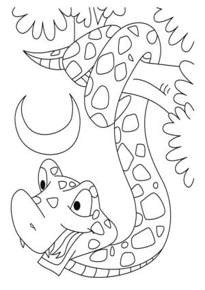 Yılan boyama sayfası,  coloring page, Gece Yılanı, 