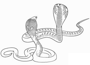 Yılan boyama sayfası,  coloring page, Iki Corba, 