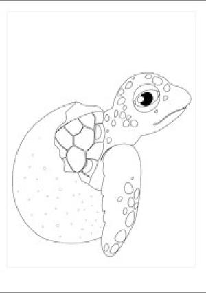 Yumurta boyama sayfası,  coloring page, Kaplumbağa Yumurtası, 