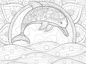 Yunus boyama sayfası, Dolphins coloring page, Yunus Yetişkin Içindir, 