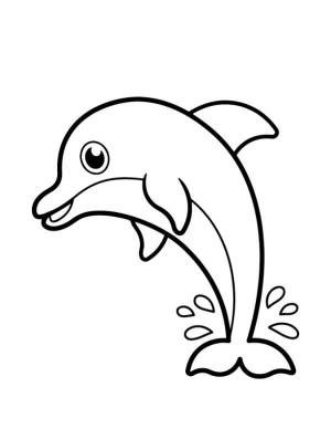 Yunus boyama sayfası, Dolphins coloring page, Mükemmel Yunus, 