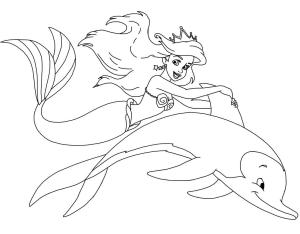 Yunus boyama sayfası, Dolphins coloring page, Ariel Binicilik Yunus, 