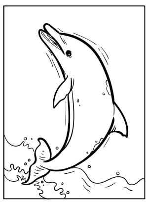 Yunus boyama sayfası, Dolphins coloring page, Yunus Atlama, 