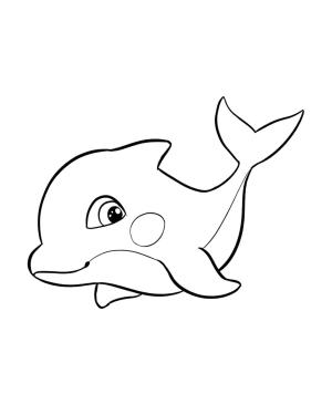 Yunus boyama sayfası, Dolphins coloring page, Şirin Bebek Yunus, 