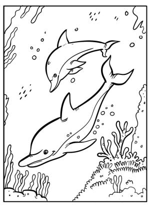 Yunus boyama sayfası, Dolphins coloring page, İki Yunus Yüzme, 