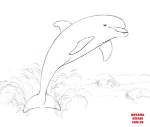 Yunus boyama sayfası, Dolphins coloring page, , dolphins dolphin jumping from wat