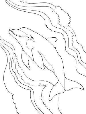 Yunus boyama sayfası, Dolphins coloring page, , dolphins bottlenose dolphi