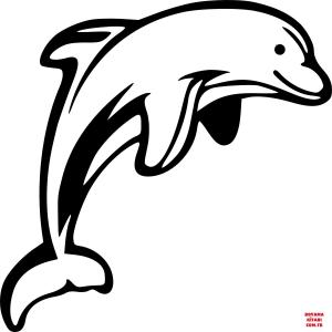 Yunus boyama sayfası, Dolphins coloring page, , dolphins dolph