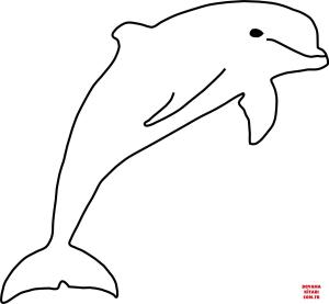 Yunus boyama sayfası, Dolphins coloring page, , dolphins dolph