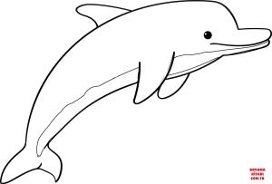 Yunus boyama sayfası, Dolphins coloring page, , dolphins cute dolp