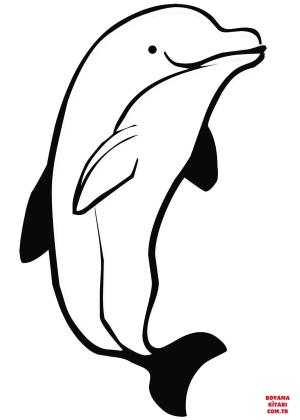 Yunus boyama sayfası, Dolphins coloring page, , dolphins dolph