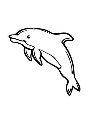 Yunus boyama sayfası, Dolphins coloring page, Harika Yunus, 