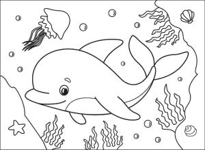 Yunus boyama sayfası, Dolphins coloring page, Denizanası ve Deniz Tarakları olan Sevimli Yunus, 