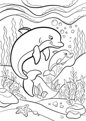 Yunus boyama sayfası, Dolphins coloring page, Anne Yunus ve Bebek Yunus Yüzme, 