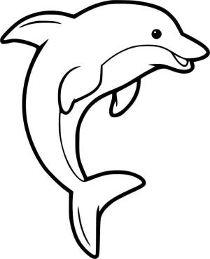 Yunus boyama sayfası, Dolphins coloring page, Temel Yunus, 