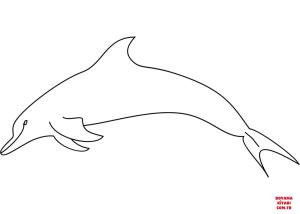 Yunus boyama sayfası, Dolphins coloring page, , dolphins dolph