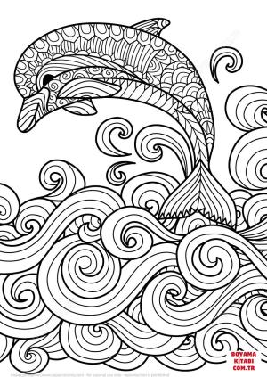 Yunus boyama sayfası, Dolphins coloring page, , dolphins zentangle dolphin with scrolling sea wa