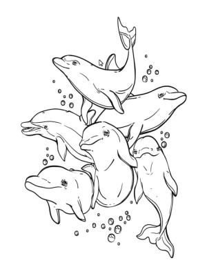 Yunus boyama sayfası, Dolphins coloring page, Tatlı Yunuslar, 