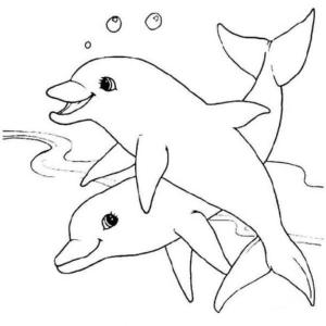 Yunus boyama sayfası, Dolphins coloring page, İki Yunus Çizimi, 