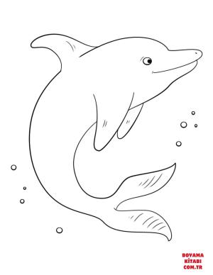 Yunus boyama sayfası, Dolphins coloring page, , dolphins cute dolph