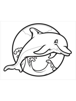 Yunus boyama sayfası, Dolphins coloring page, Iyi Yunus, 