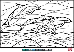 Yunus boyama sayfası, Dolphins coloring page, , dolphins dolphins color by numb