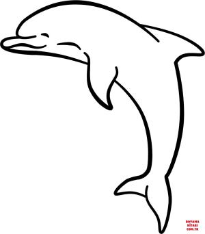 Yunus boyama sayfası, Dolphins coloring page, , dolphins dolph