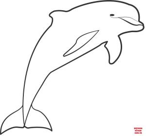 Yunus boyama sayfası, Dolphins coloring page, , dolphins dolph