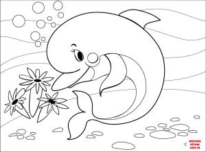 Yunus boyama sayfası, Dolphins coloring page, , dolphins dolph