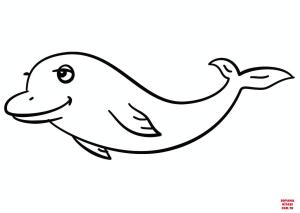 Yunus boyama sayfası, Dolphins coloring page, , dolphins cartoon dolp