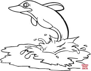 Yunus boyama sayfası, Dolphins coloring page, , dolphins dolphin in the s