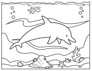 Yunus boyama sayfası, Dolphins coloring page, Normal Yunus, 