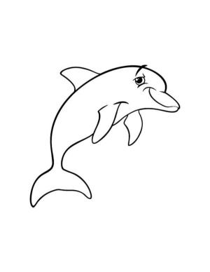 Yunus boyama sayfası, Dolphins coloring page, Komik Yunus, 