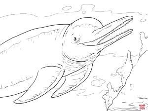 Yunus boyama sayfası, Dolphins coloring page, , dolphins amazon river dolphin bo