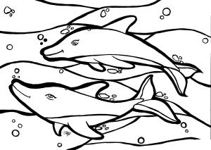 Yunus boyama sayfası, Dolphins coloring page, , dolphins dolphi