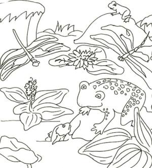 Yusufçuk boyama sayfası,  coloring page, , 