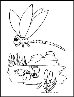 Yusufçuk boyama sayfası,  coloring page, , 