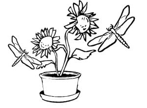 Yusufçuk boyama sayfası,  coloring page, , 