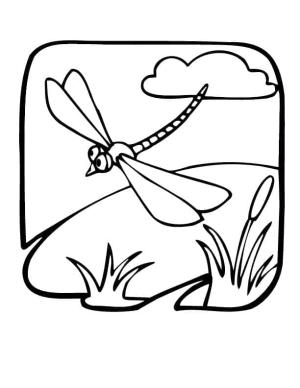 Yusufçuk boyama sayfası,  coloring page, Yusufçuk Baskıya Hazır, 