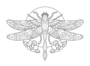 Yusufçuk boyama sayfası,  coloring page, , 