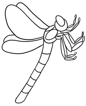 Yusufçuk boyama sayfası,  coloring page, Ücretsiz Yusufçuk, 