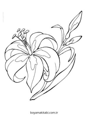 Zambak boyama sayfası – keyifli zaman, renkli çizimler